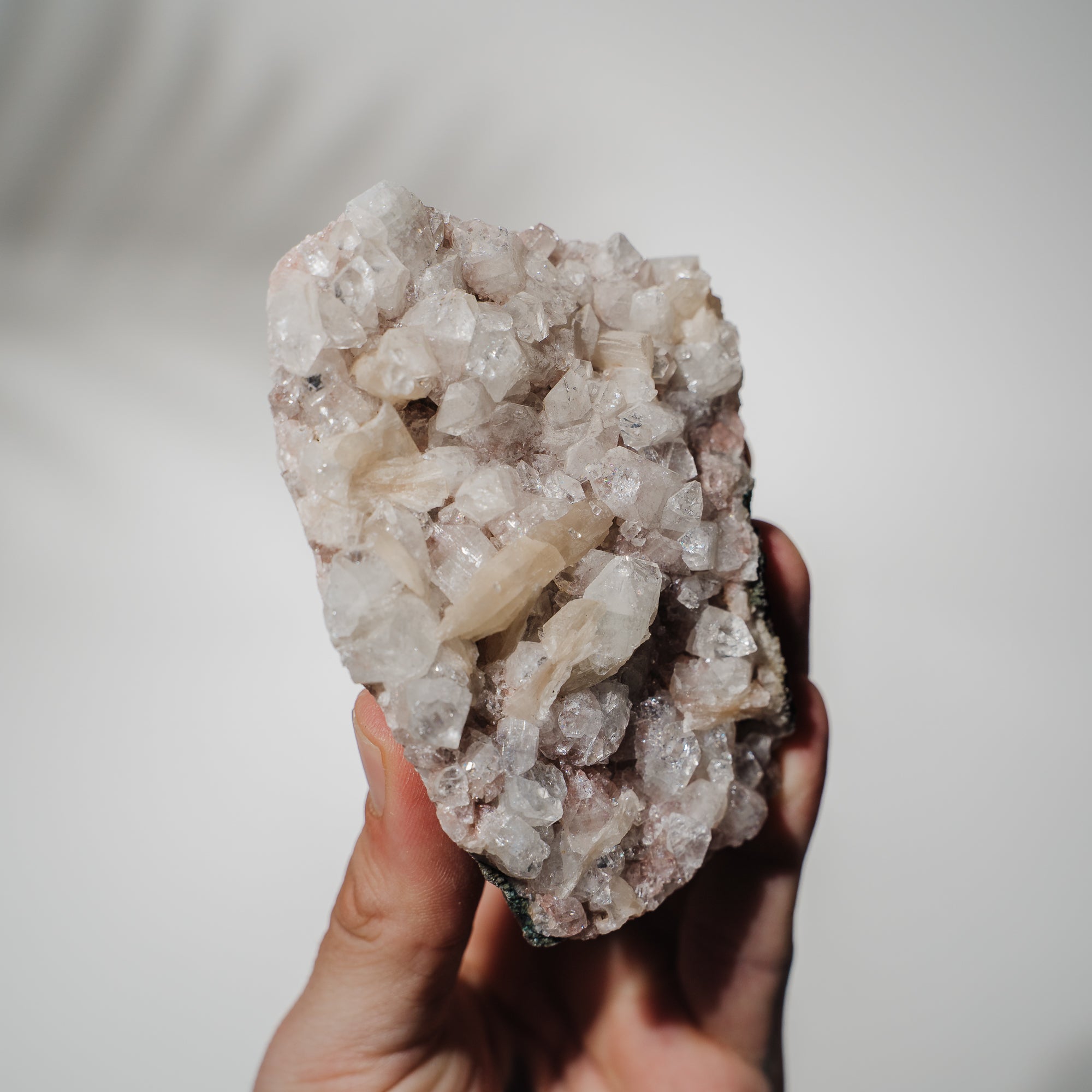 Pinke Apophyllit Stufe 60P