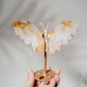 Golden Healer Schmetterling 36GC