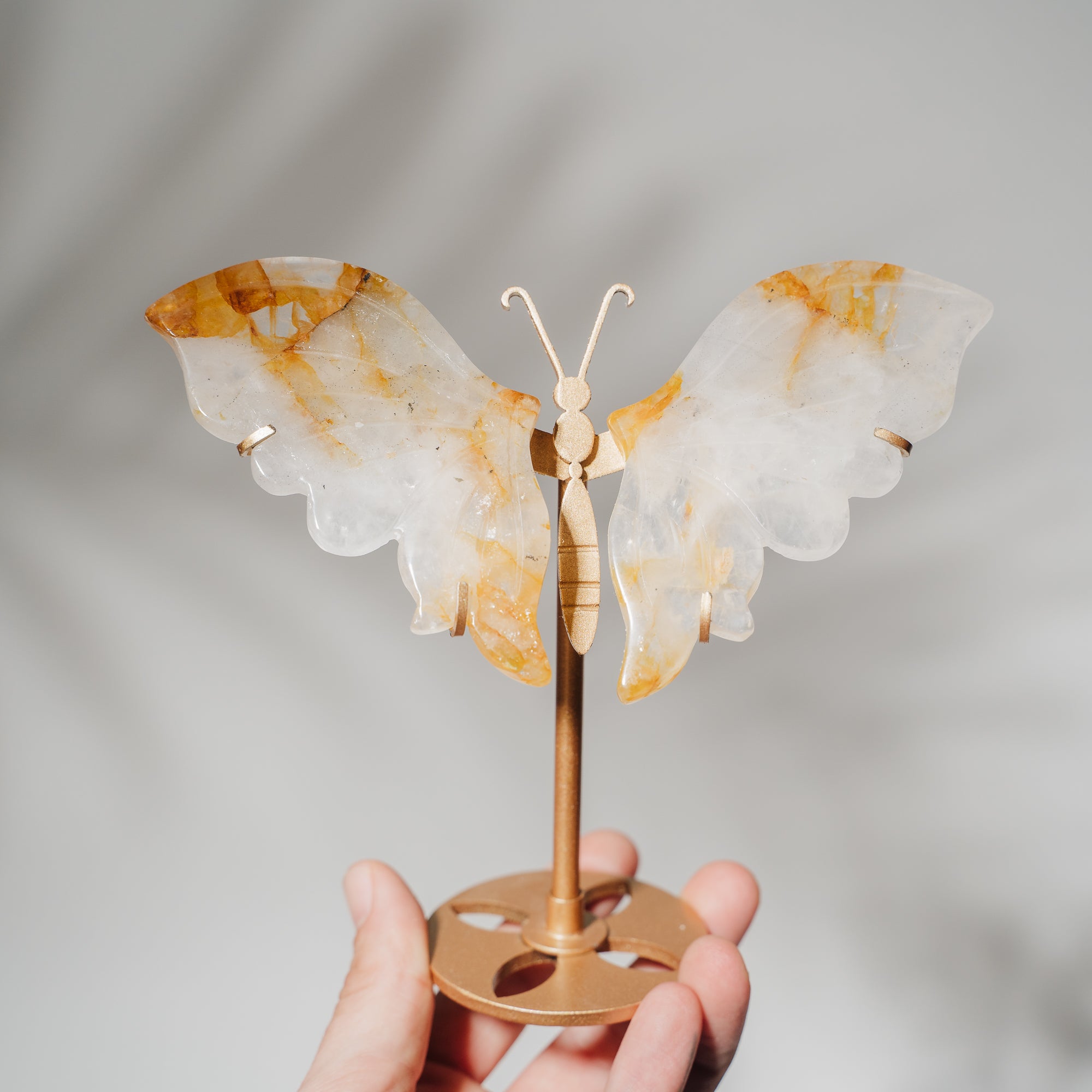 Golden Healer Schmetterling 36GC