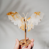 Golden Healer Schmetterling 36GC