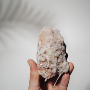 Pinke Apophyllit Stufe 57P