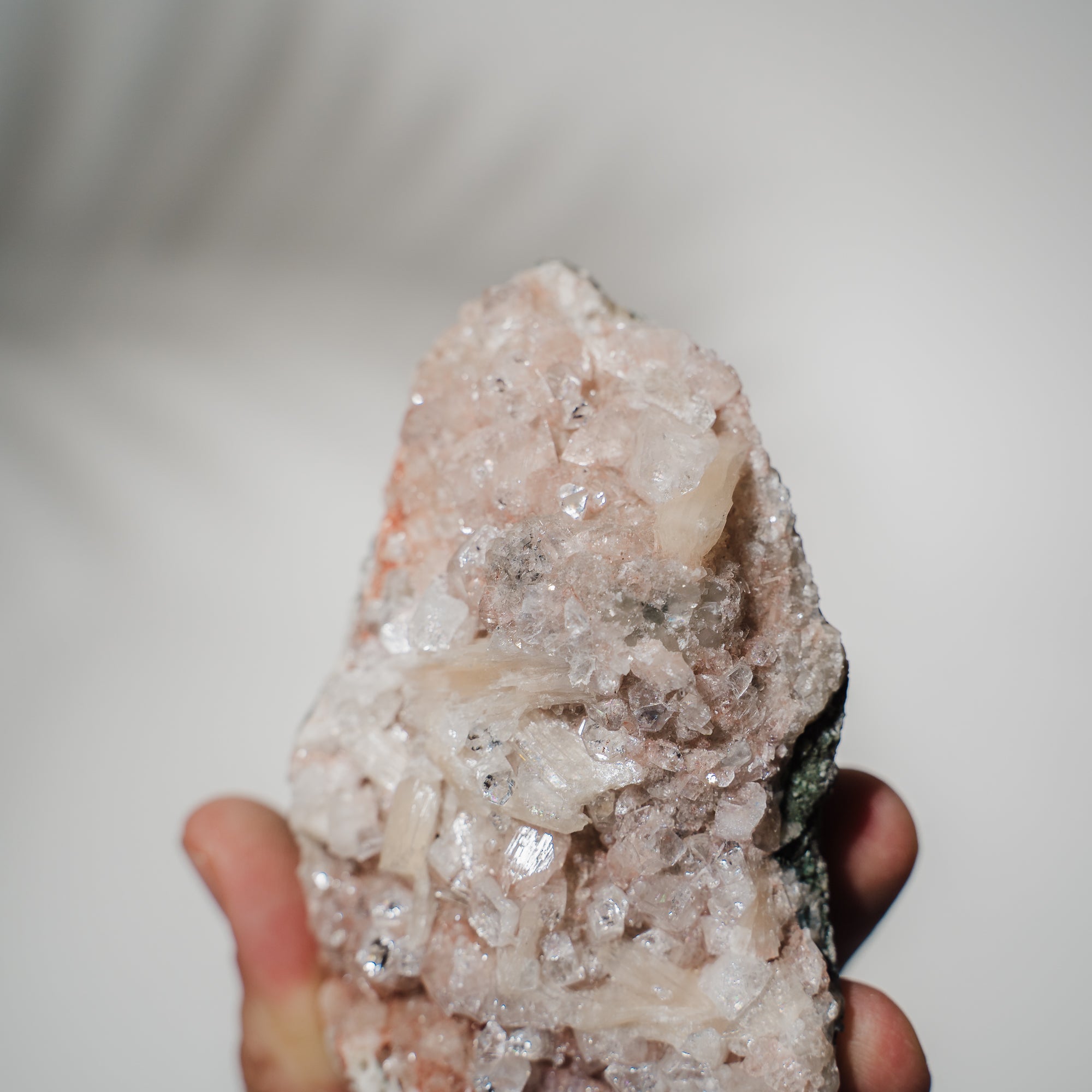 Pinke Apophyllit Stufe 57P