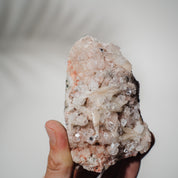 Pinke Apophyllit Stufe 57P