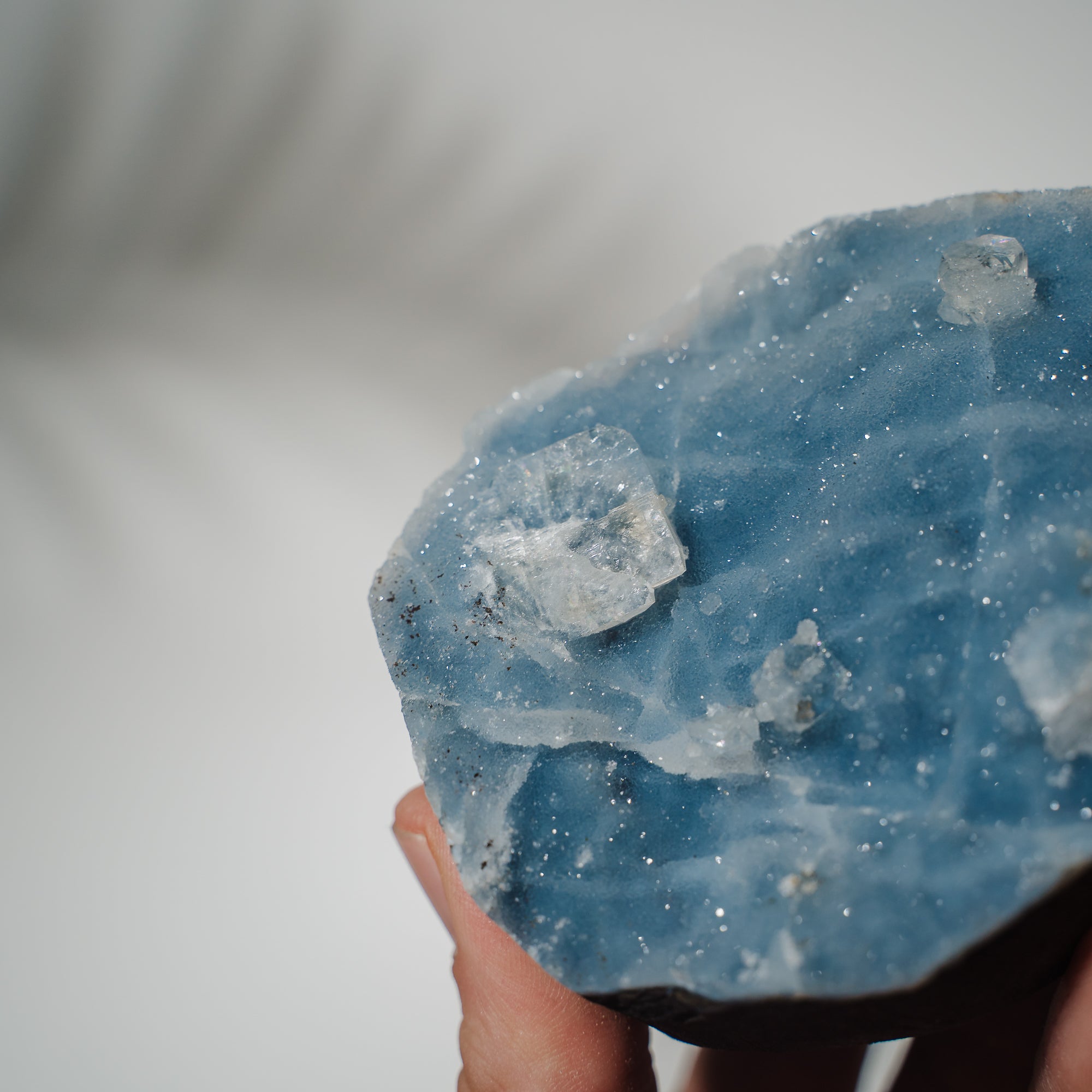 Blauer Chalcedon x Apophyllit Stufe 59BC