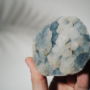 Blauer Chalcedon x Apophyllit Stufe 45BC