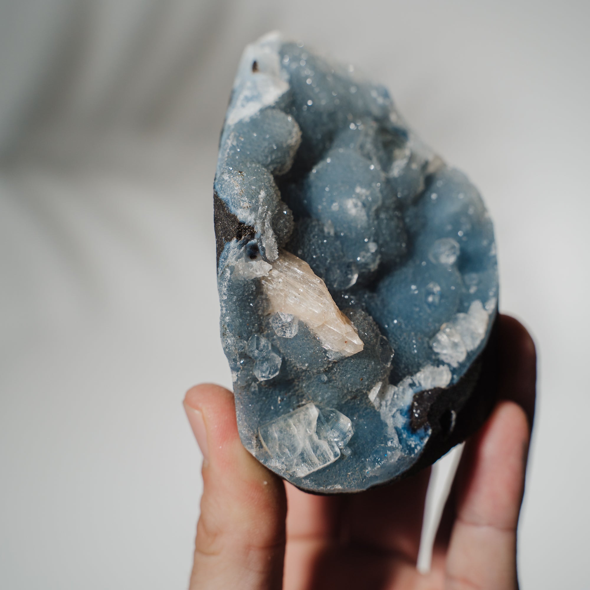 Blauer Chalcedon x Apophyllit Stufe 68BC