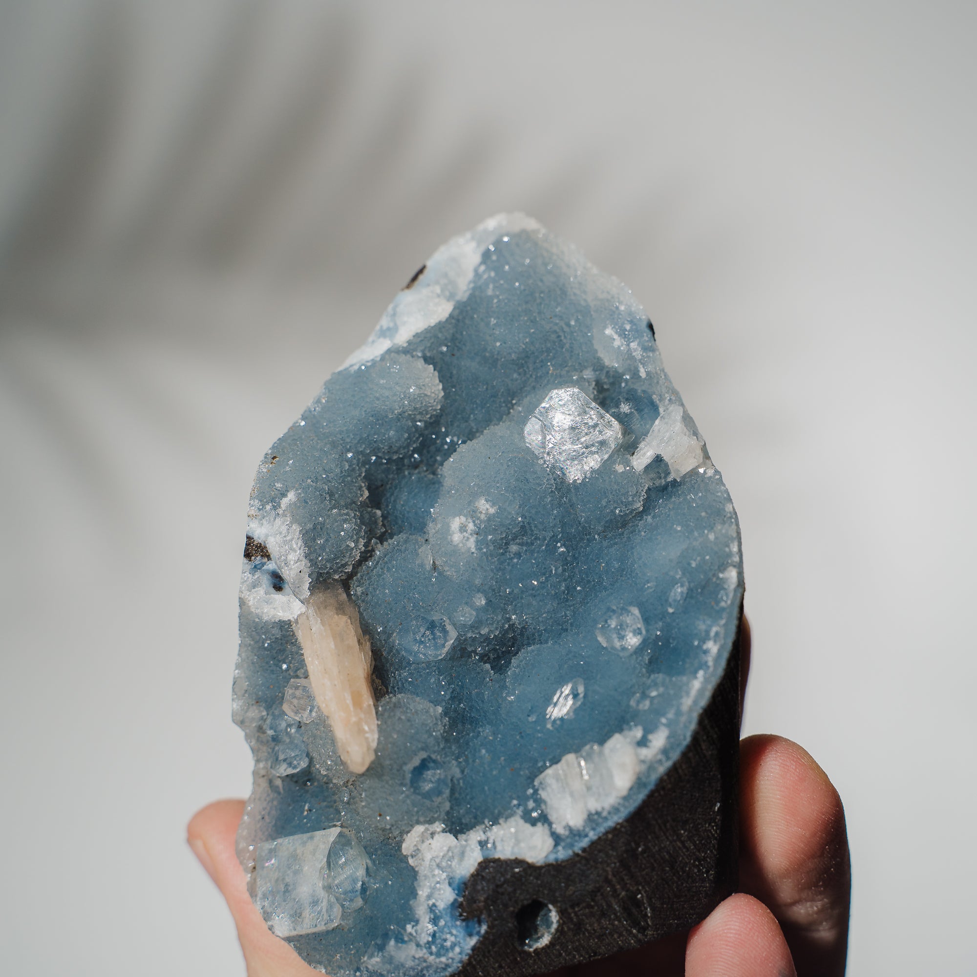 Blauer Chalcedon x Apophyllit Stufe 68BC