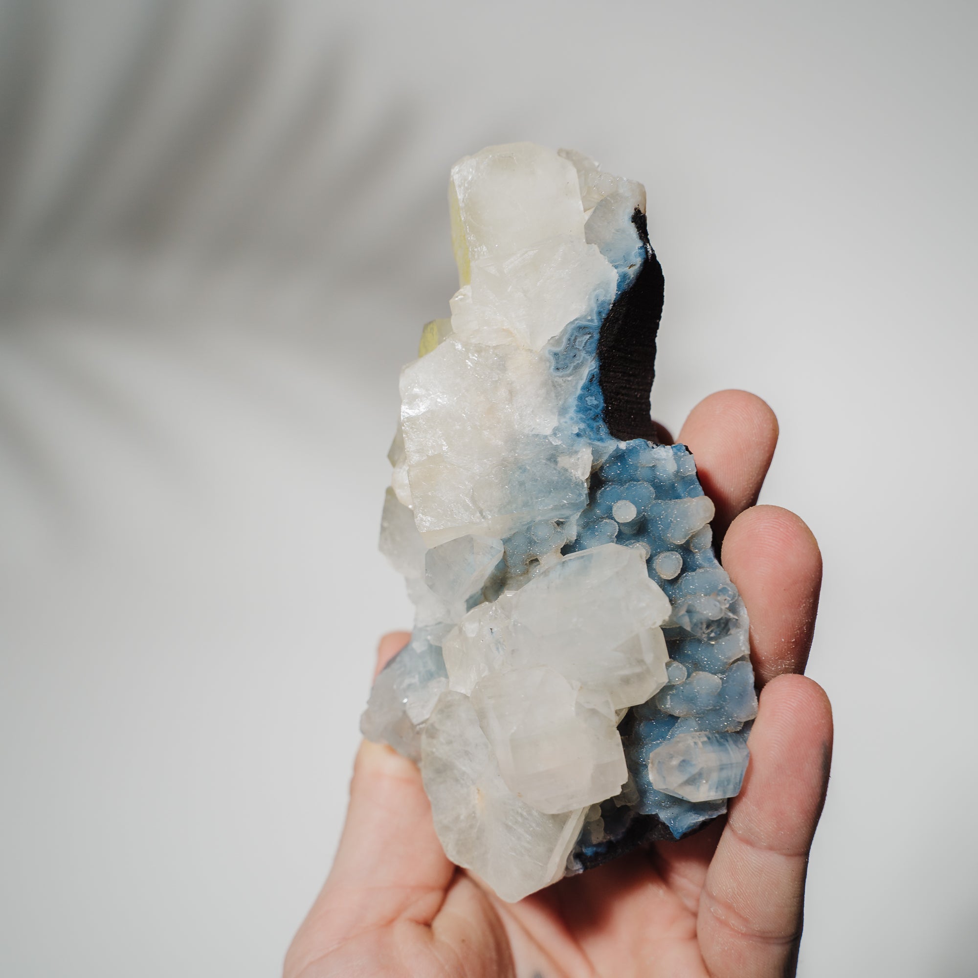 Blauer Chalcedon x Apophyllit Stufe 73BC