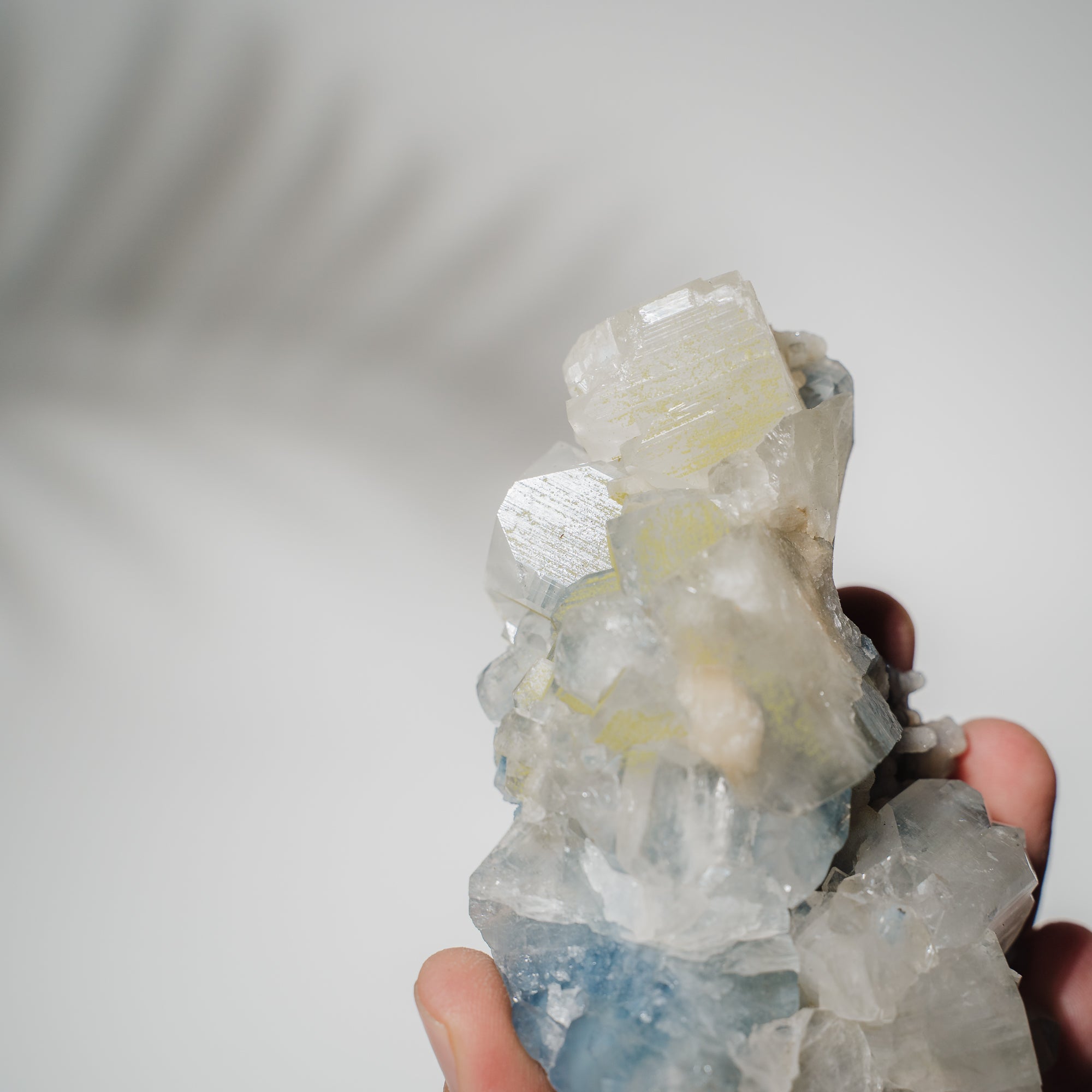 Blauer Chalcedon x Apophyllit Stufe 73BC