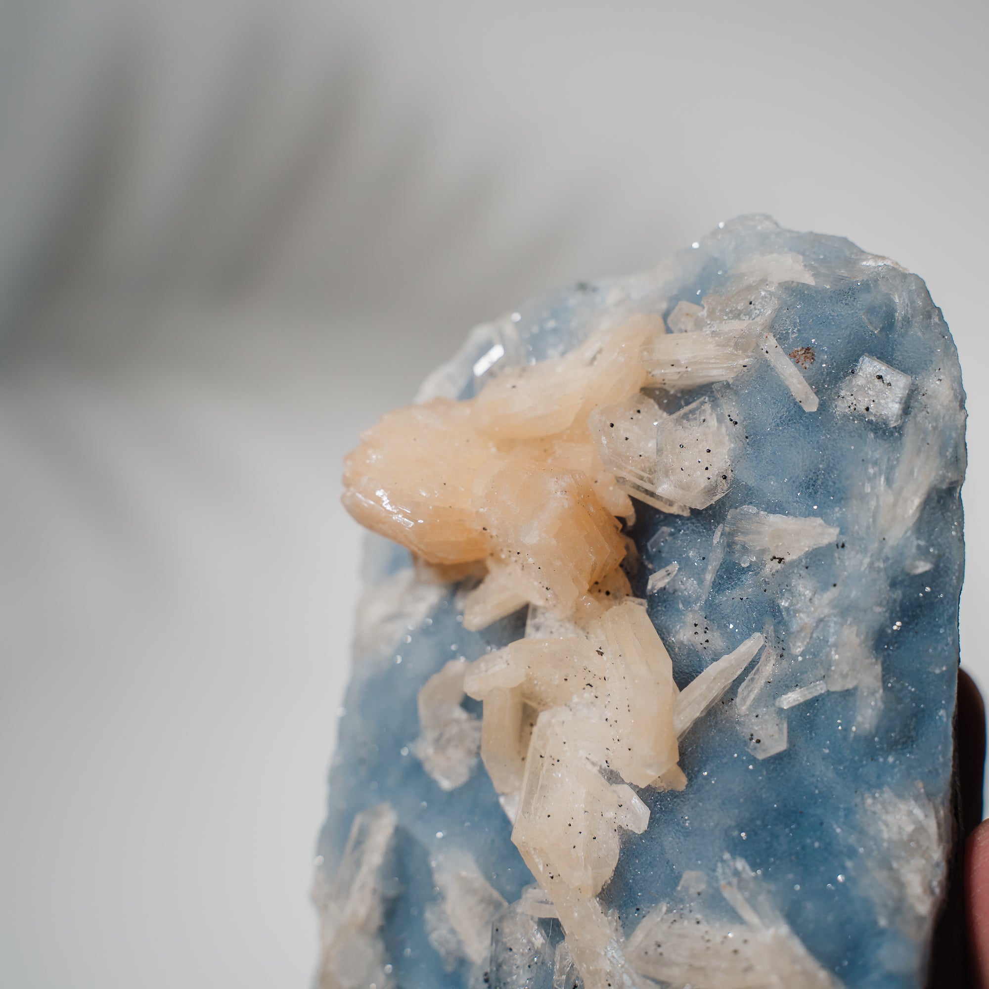 Blauer Chalcedon x Apophyllit Stufe 94BC