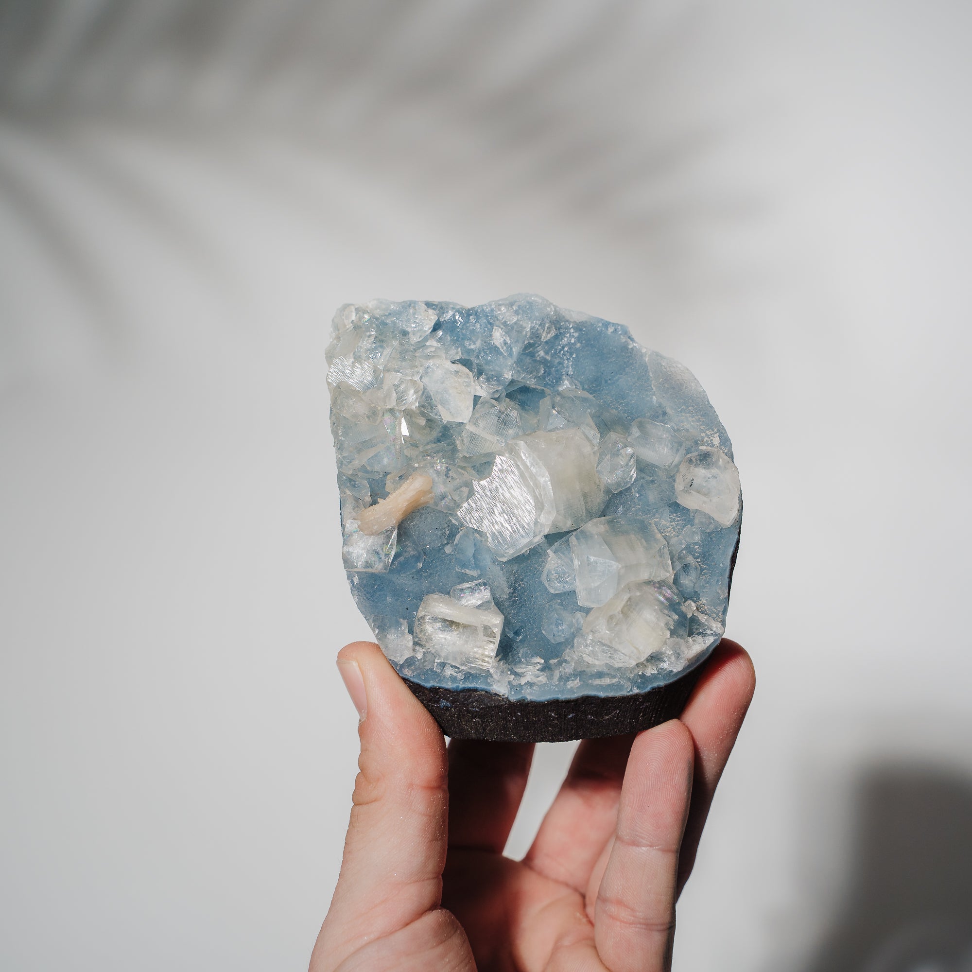 Blauer Chalcedon x Apophyllit Stufe 101BC