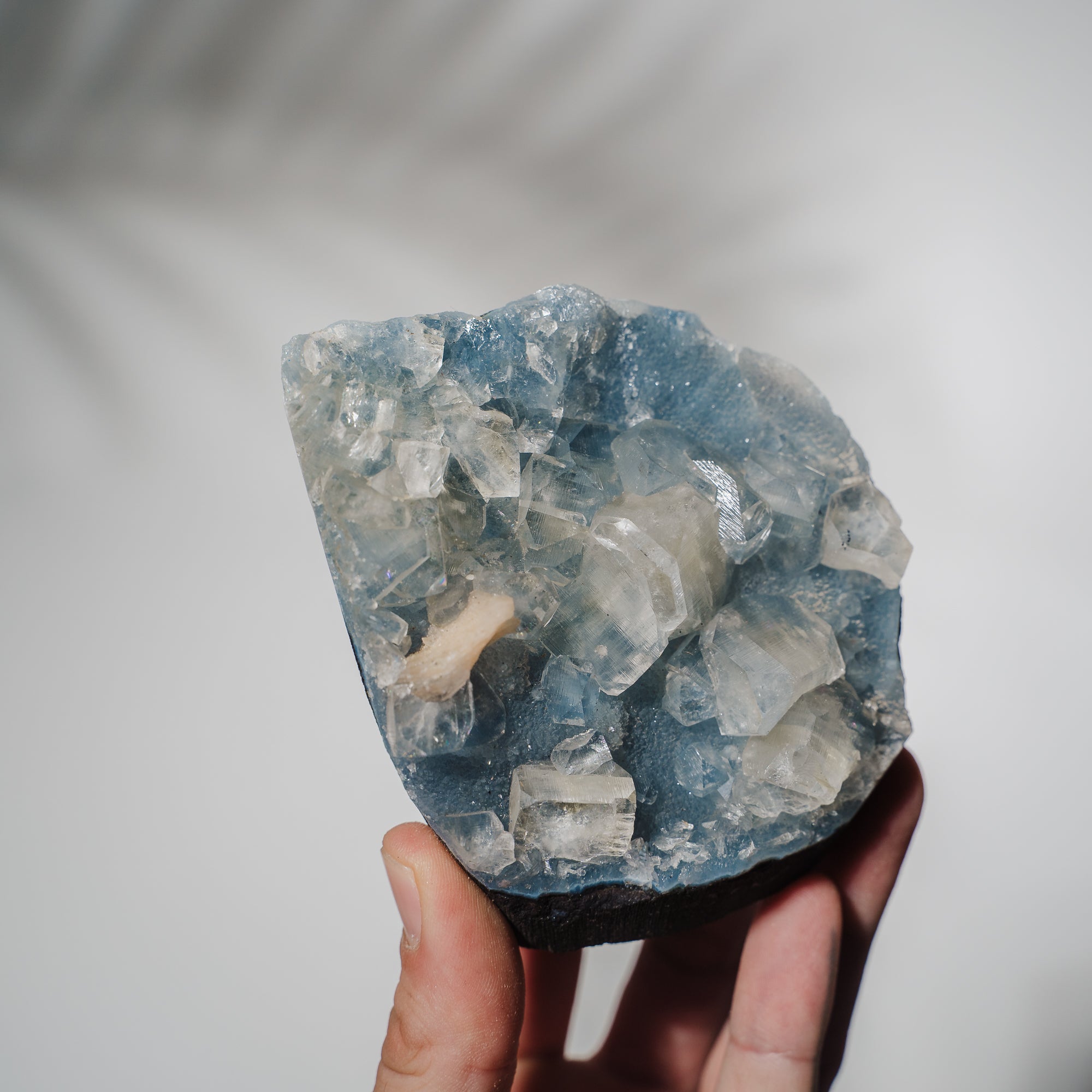 Blauer Chalcedon x Apophyllit Stufe 101BC