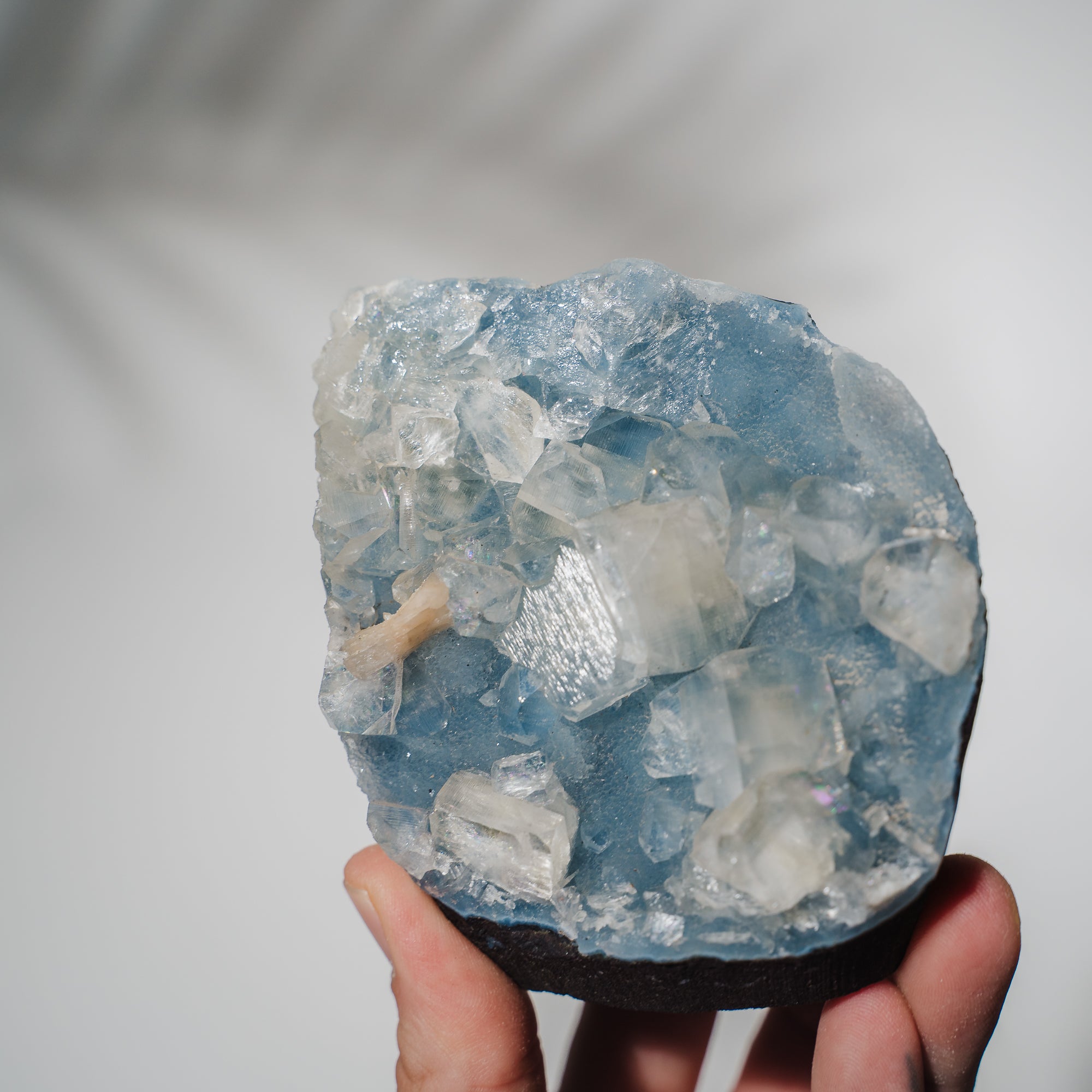 Blauer Chalcedon x Apophyllit Stufe 101BC