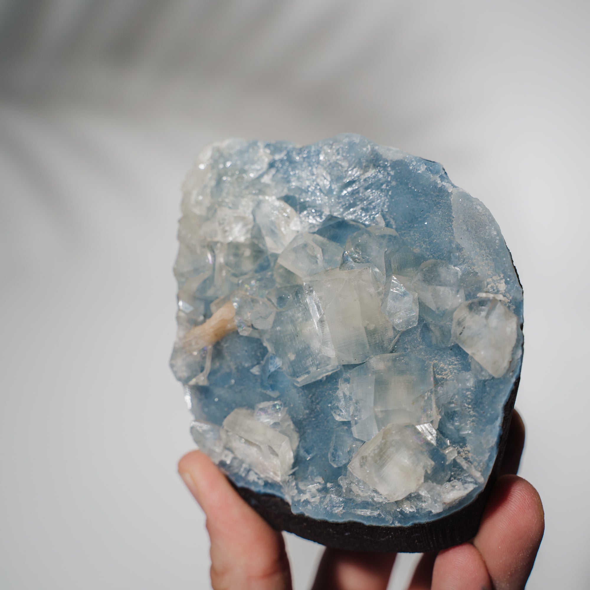 Blauer Chalcedon x Apophyllit Stufe 101BC