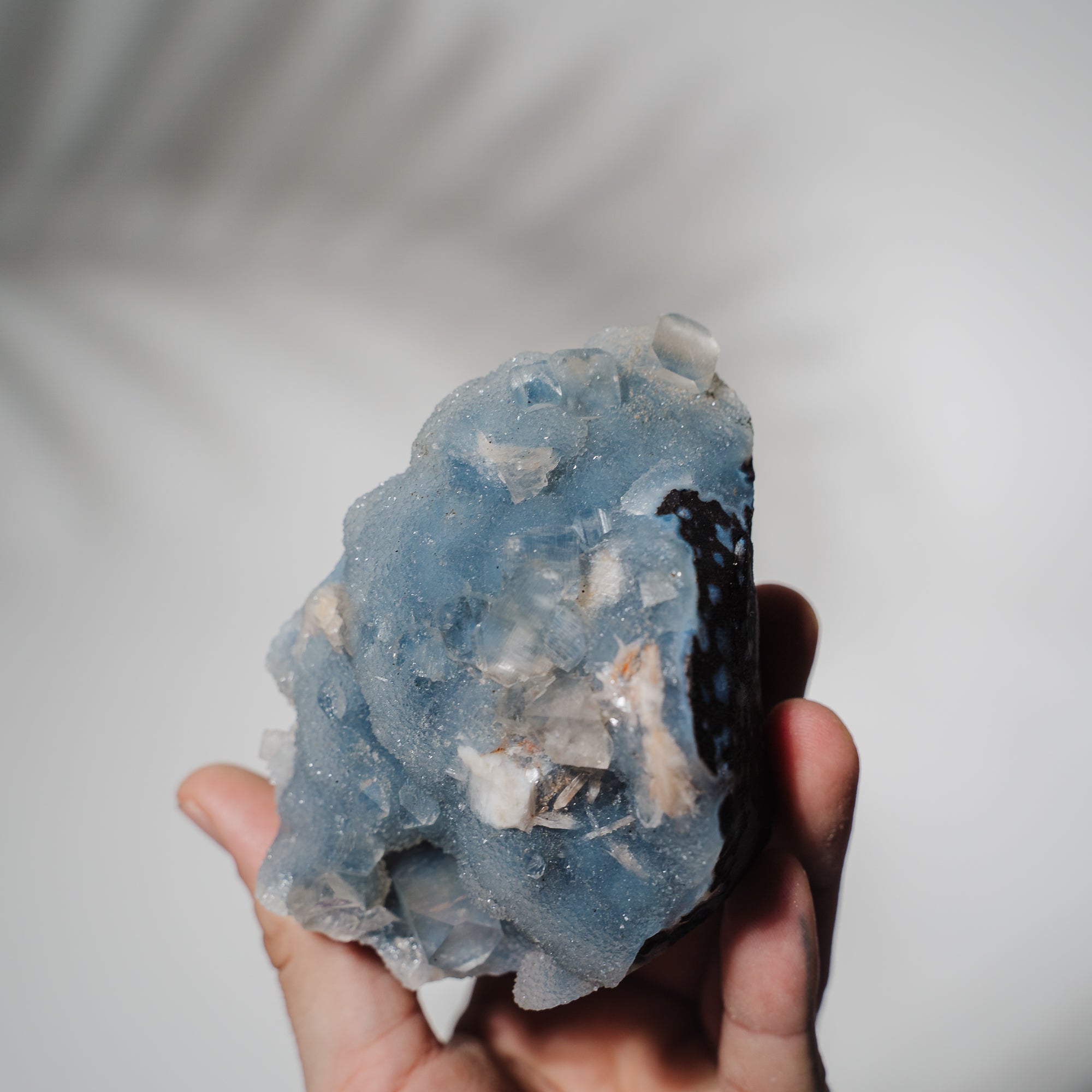 Blauer Chalcedon x Apophyllit Stufe 103BC