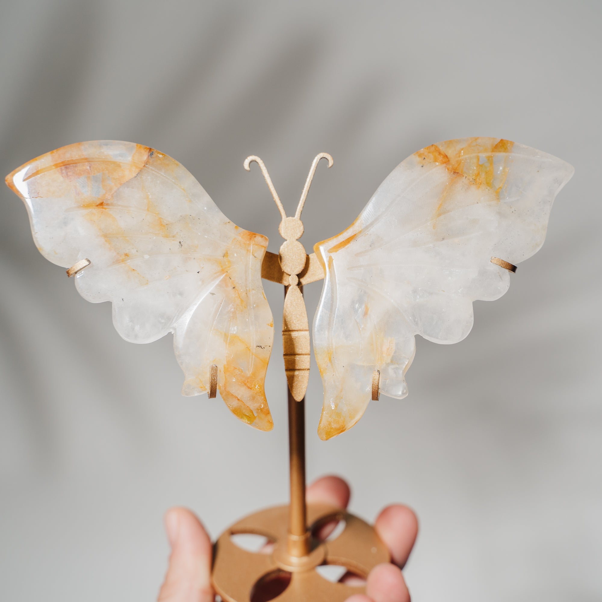 Golden Healer Schmetterling 36GC