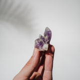 Amethyst Stufe Mexiko 23AB