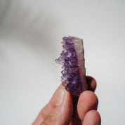 Amethyst Stufe Mexiko 26A