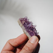 Amethyst Stufe Mexiko 26A