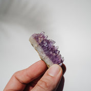 Amethyst Stufe Mexiko 26A