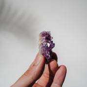 Amethyst Stufe Mexiko 23A