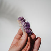Amethyst Stufe Mexiko 23A