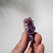 Amethyst Stufe Mexiko 23A