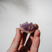 Amethyst Stufe Mexiko 21A