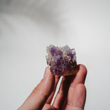 Amethyst Stufe Mexiko 34A