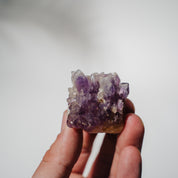 Amethyst Stufe Mexiko 34A