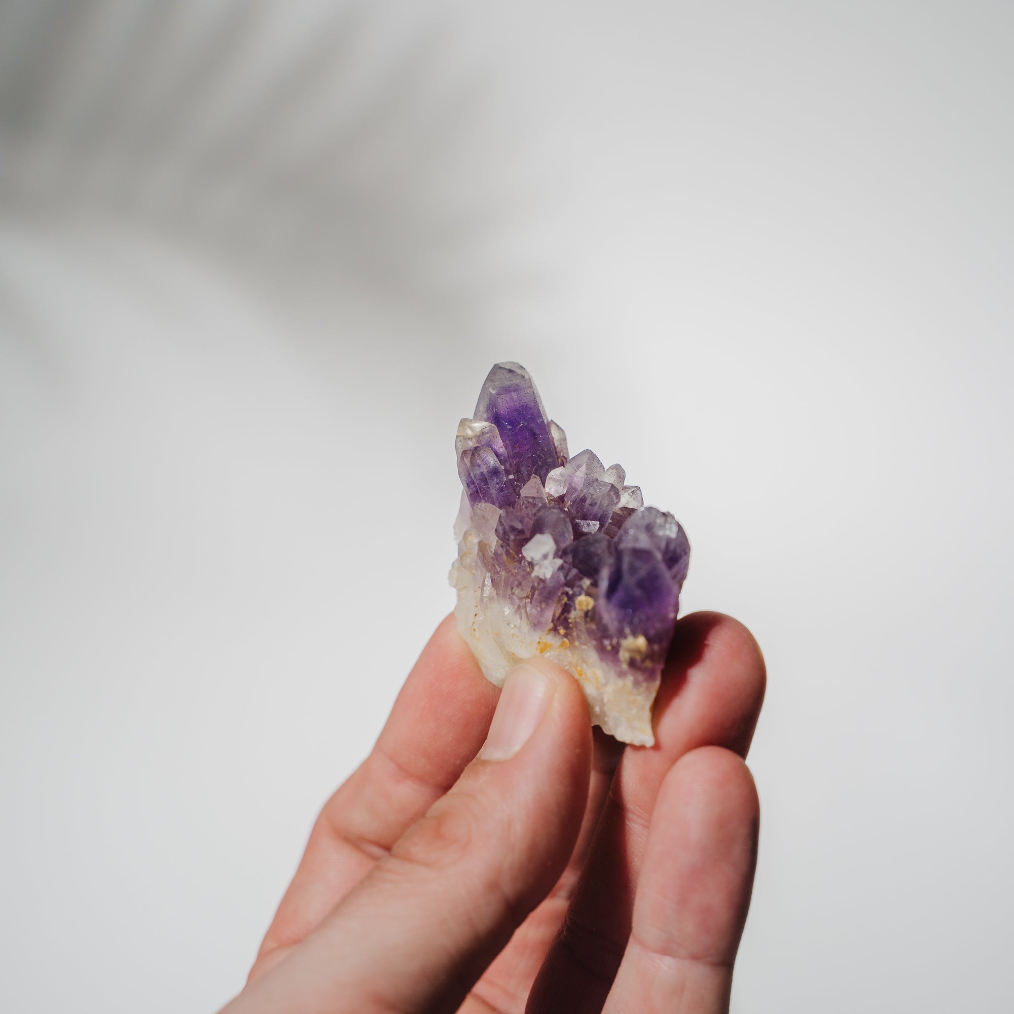 Amethyst Stufe Mexiko 30A