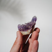 Amethyst Stufe Mexiko 30A