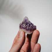 Amethyst Stufe Mexiko 28A