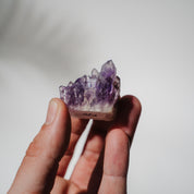 Amethyst Stufe Mexiko 28A
