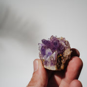 Amethyst Stufe Mexiko 35A