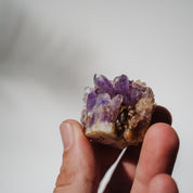 Amethyst Stufe Mexiko 35A