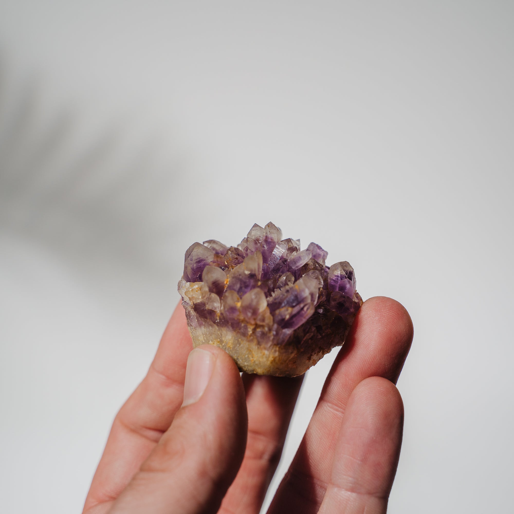 Amethyst Stufe Mexiko 39A