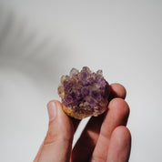 Amethyst Stufe Mexiko 39A