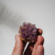 Amethyst Stufe Mexiko 39A