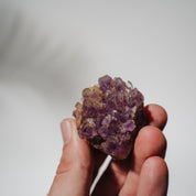 Amethyst Stufe Mexiko 39A