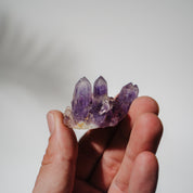 Amethyst Stufe Mexiko 22A
