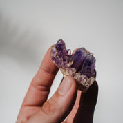 Amethyst Stufe Mexiko 22A