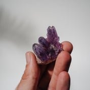 Amethyst Stufe Mexiko 22A