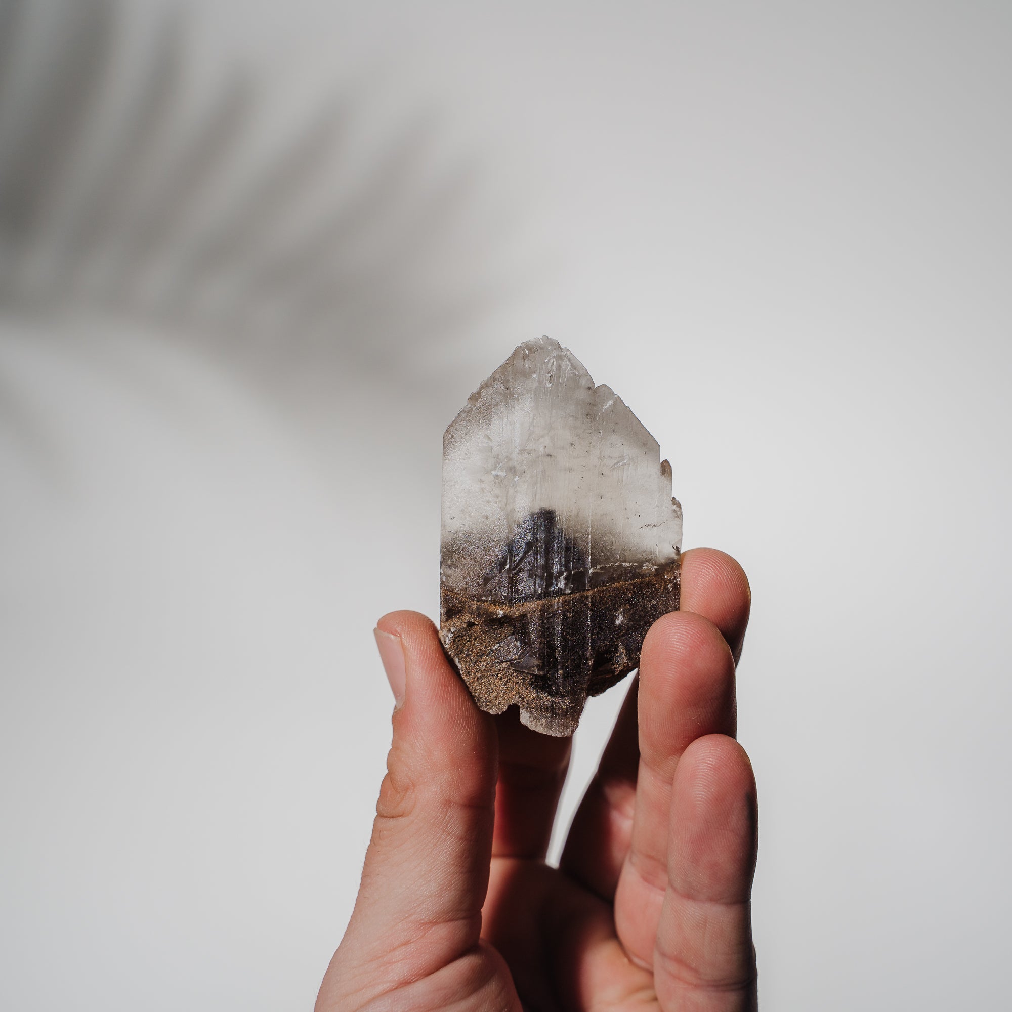 Selenit Phantom 62SB