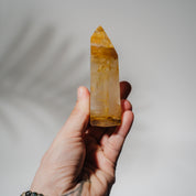 Golden Healer Turm GOA75