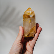 Golden Healer Turm GOA75