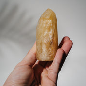 Golden Healer Turm GH66