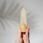 Golden Healer Turm GOC66