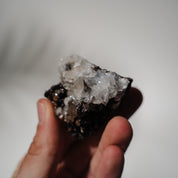 Mäuseohren Calcit Stufe 42C