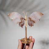 Amethyst Achat Schmetterling 36AB